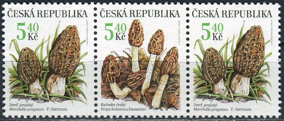 Česká pošta (2000) č. 266 - 267 ** - 5,40 Kč - ČR - 3-bl - Ochrana přírody