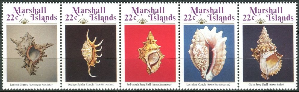 (1986) MiNr. 87 - 91 ** - Marshallovy ostrovy - 5-pá - mořští plži