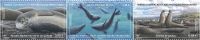(2023) MiNr. 1193 - 1195 ** - Francouzská Antarktida - Životní fáze tuleně sloního