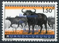 (1962) MiNr. 11 ** - Burundi - Buvoli afričtí - přetisk